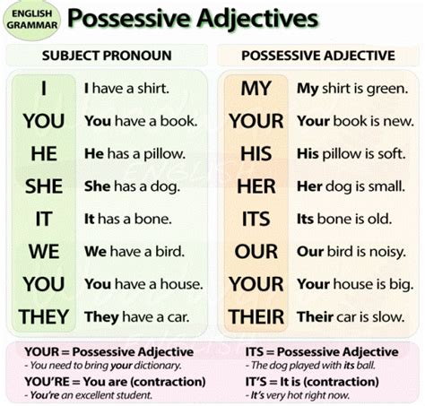 50 Possessive Adjectives Spanish Worksheet