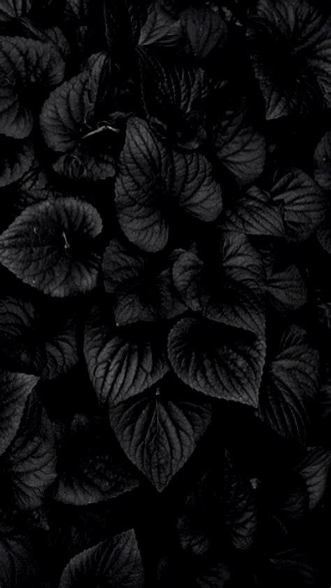 Floral Dark Phone Abstract Wallpapers Wallpaper Cave