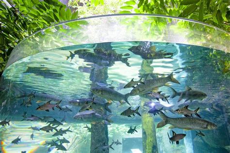Large Aquarium Oceanarium Langkawi Island Malaysia Stock Photo By