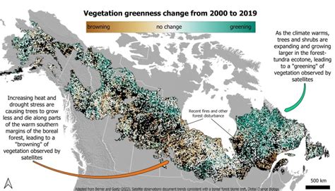 Canadas Great Expanse Of Boreal Forest Is Changing Due To Climate