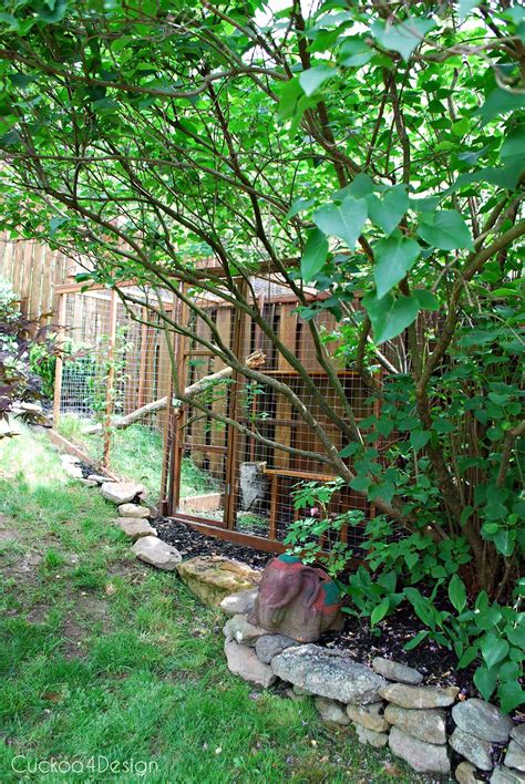 Look at this cool climbing construction out of the. Easy DIY Cat Enclosure to keep your indoor cats happy and safe