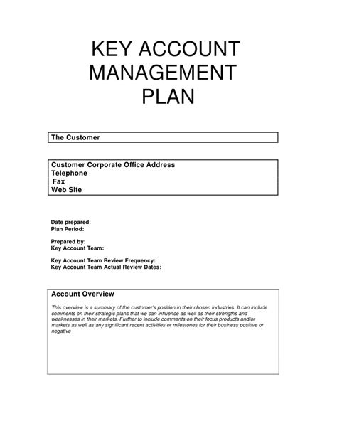 Include success to date, roadblocks, any unexpected events, new opportunities and decisions needed to move the plan forward. Key Account Management Plan