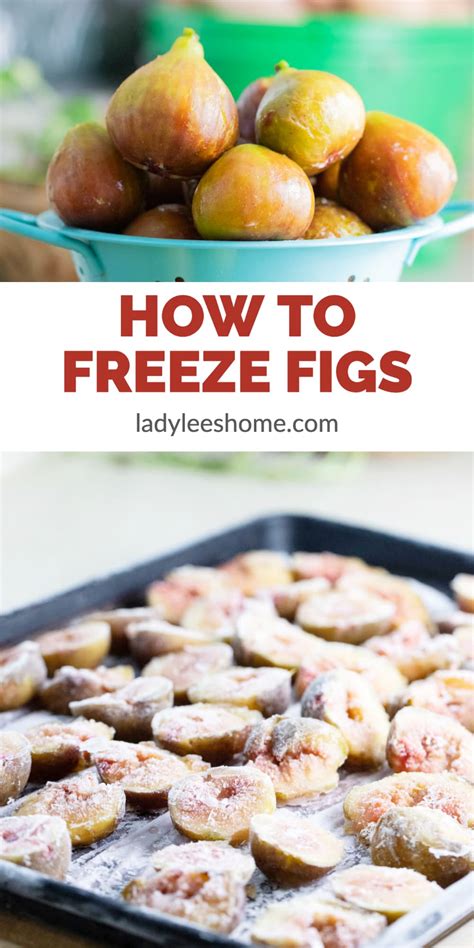 How To Freeze Figs Lady Lees Home