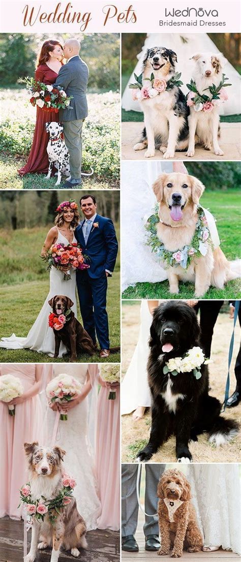 15 Wedding Ideas That Incorporate Your Pet Into Your Wedding Wedding