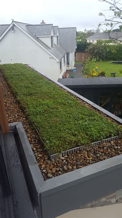 Our M Tray Green Roof System Consists Of Specially Designed Modular