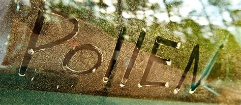 A small part of something large, especially something difficult or unpleasant to deal with: What is Pollen? | FLONASE® Allergy Relief
