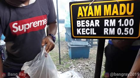 .kelantan· more › kubang kerian, kelantan·machang, kelantan·kuala besut, terengganu·wakaf bharu, kelantan·pasir puteh, kelantan·. BAZAR RAMADHAN KUBANG KERIAN MERIAH KELANTAN STREET FOOD ...