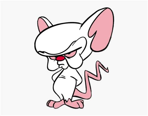 The show followed the exploits of two even though the plot was the same every episode, 'pinky and the brain' managed to be consistently fresh and funny. Brain Pinky And The Brain Png , Free Transparent Clipart - ClipartKey