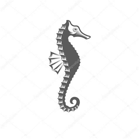 ilustración vectorial de caballitos de mar en blanco y negro stock vector by ©lavrentev 83020684