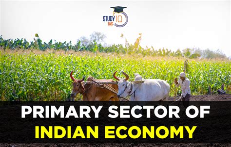 Primary Sector Of Indian Economy Examples Agriculture Sector