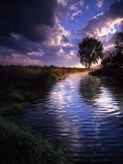 water nature gif | Animated Water Stream Mobile Wallpaper ...
