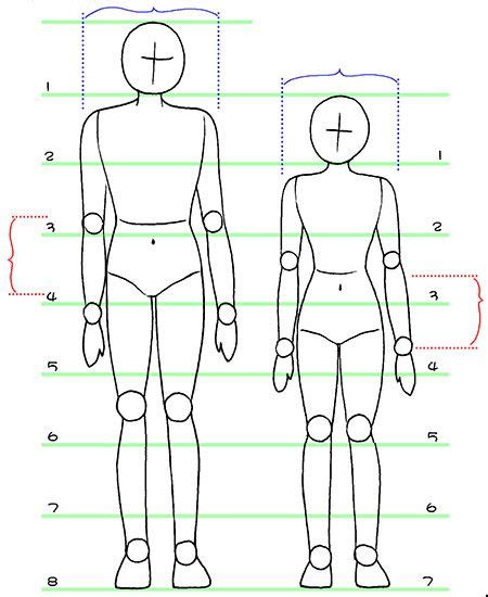 Body Proportion Body Proportions Basic Drawing Designs To Draw