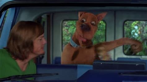 Scooby Doo And Shaggy Screencaps Scooby Doo And Shaggy Image 4035500 Fanpop