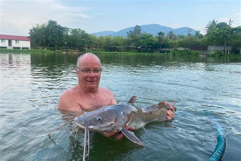 Asian Redtail Catfish Our Fish Topcats Fishing Resort Thailand