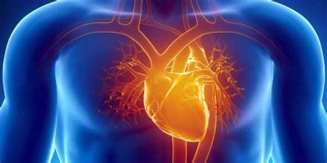 Es resultado de una inflamación del miocardio provocada por diferentes virus. En el marco de esta pandemia, ¿qué sabemos de la Miocarditis?