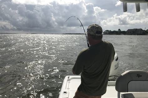 Best Fishing Spots In Charleston Sc All About Fishing