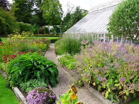 herb garden | Herb garden in Farmleigh House walled garden | Tim Austen Garden ... | Herb garden ...
