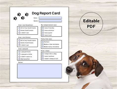 Pet Report Card Pet Planner Pet Sitter Notes Dog Report Etsy Australia