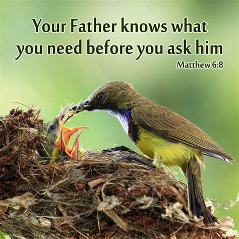 Timeline Photos Dr Paul Dhinakaran You Are The Father Bible Promises Bible Knowledge