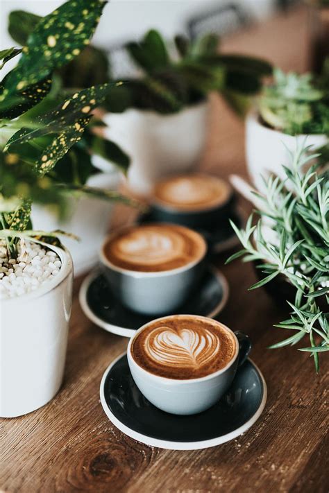 HD wallpaper: shallow focus photography of coffee late in ... Coffee mug steam and flowers on table.