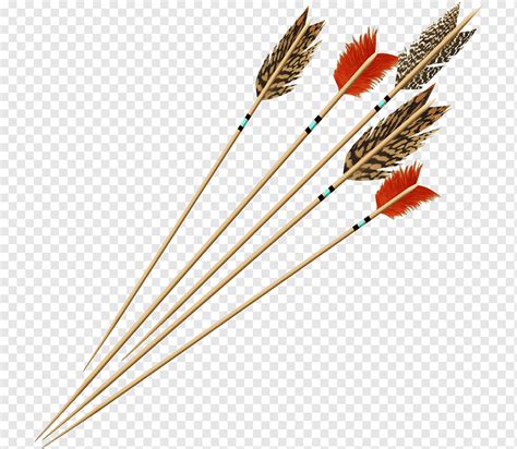 Real Feather Arrow Feather Archery Ancient Png Pngwing