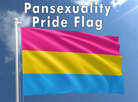Pansexuality Pride Flag Custom Flag 3x5 Personalized Wall Etsy