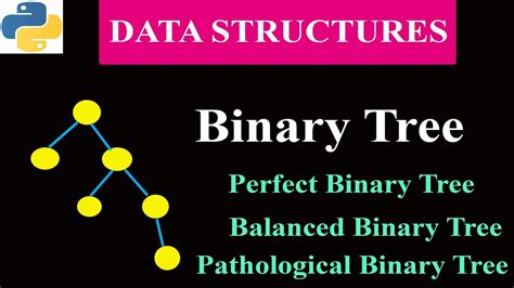 Types Of Binary Tree 2 Perfect Bt Balanced Bt Pathological Binary