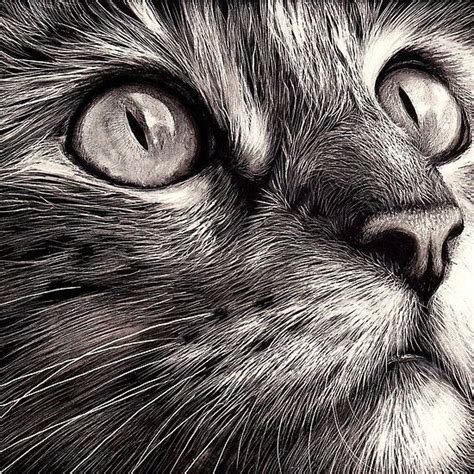 Next entry:the art of the seamlessly repeating pattern. Cats face - scratchboard art - this artist must be really ...
