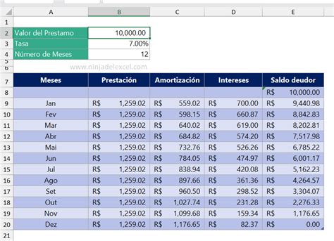Planilla De Amortización De Préstamos En Excel Ninja Del Excel