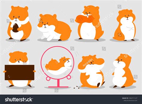 Hamster Vector Cute Cartoon Characters Set Royalty Free Stock Vector 1902711127
