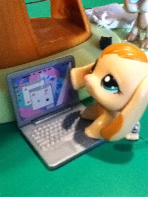 My Lps Is On Her Computer That I Got From A Friend Lps Lunch Box