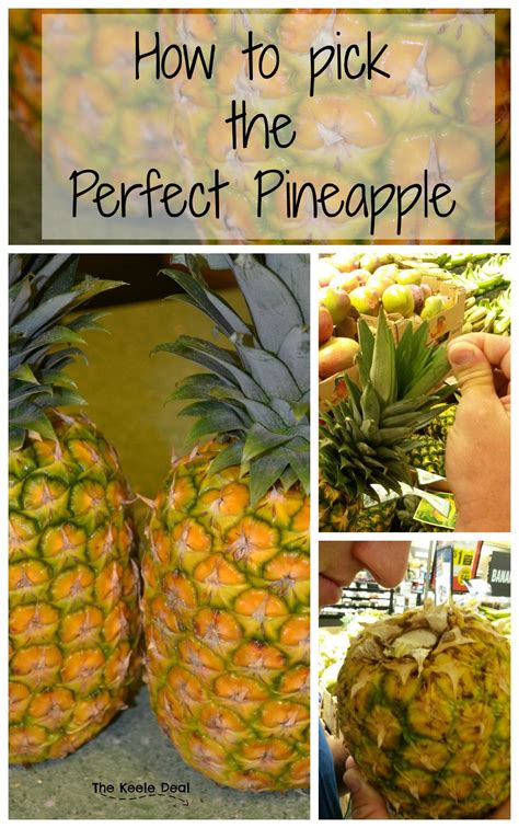 Here Are The Things To Look For When Picking A Pineapple Jared Learned