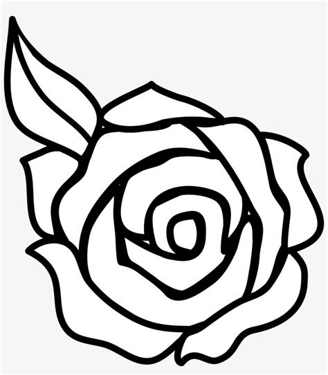 Flower Drawing Rose At Getdrawings Beginner Rose Drawings Easy