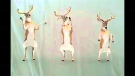 reindeer christmas dancing 1 hour version youtube