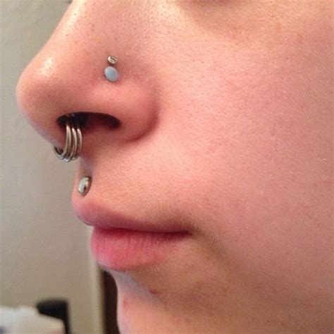 Stacked Rings In Stretched Septum Double Nostril Medusa Piercings Tattoos Piercings