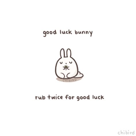 Who Needs A Rabbits Paw For Good Luck When You Chibird