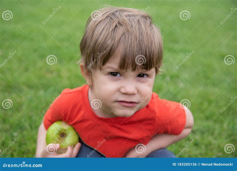 Baby Boy Eats An Apple In Nature Stock Photo Image Of Environmental