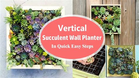 Vertical Succulent Wall Planter In Quick Easy Steps Diy Succulent