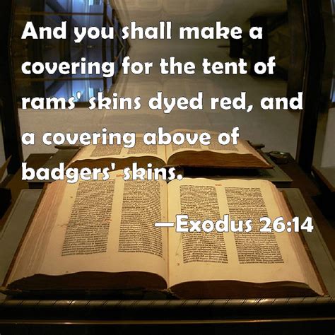 Exodus 2614 And You Shall Make A Covering For The Tent Of Rams Skins