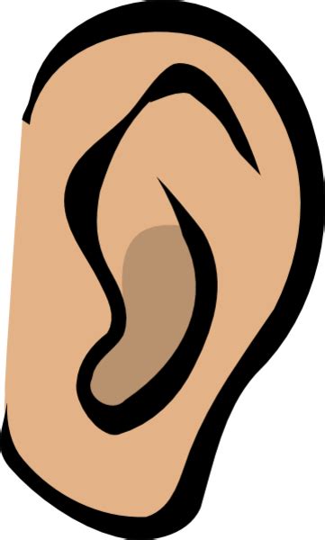 Cartoon Ear Clipart Clipart Suggest
