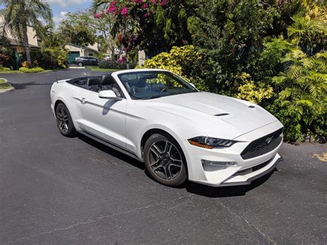 Ford Mustang Convertible Ecoboost The Official Car Of