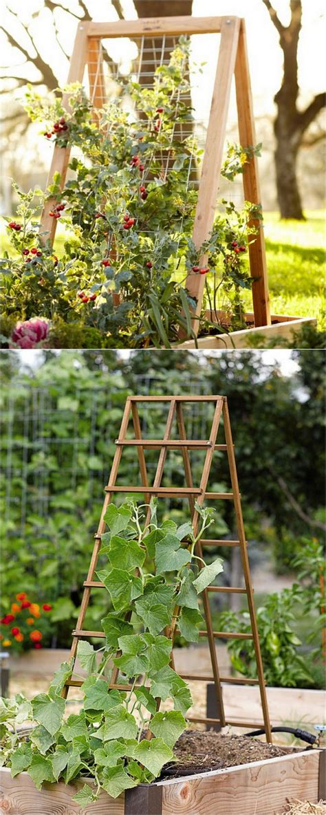 Bike tire trellis project idea 6. 15 Creative And Easy DIY Trellis Ideas For Your Garden - The ART in LIFE