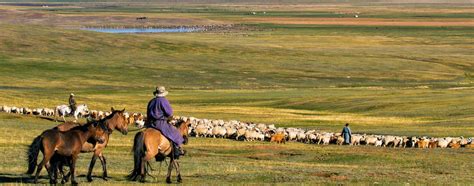 Mongolia Motorcycle Adventure Tour 7 Days Discover Mongolia Travel