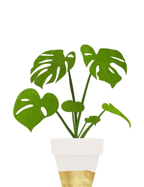 Free Plant Art Printables — 8 Fun And Free Options To Choose From