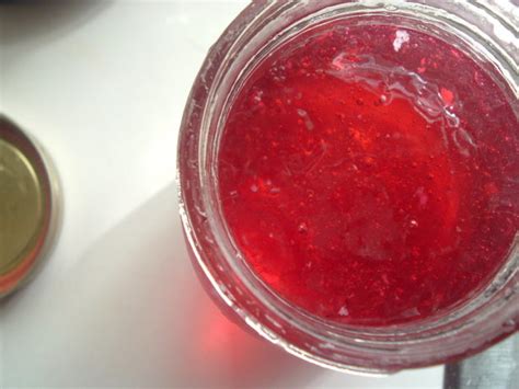 Kudzu Blossom Jelly Recipe