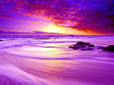 800x600 Purple Beach Sunset 4k 800x600 Resolution Hd 4k Wallpapers