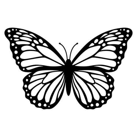 Monarch Butterfly Silhouette Vector Illustration Isolated On White