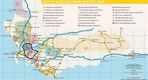 Visiting The Cape Winelands Of South Africa The Travel Info Blogger