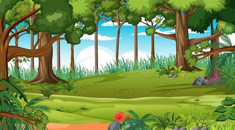 Forest Scene With Various Forest Trees 2906727 Vector Art At Vecteezy