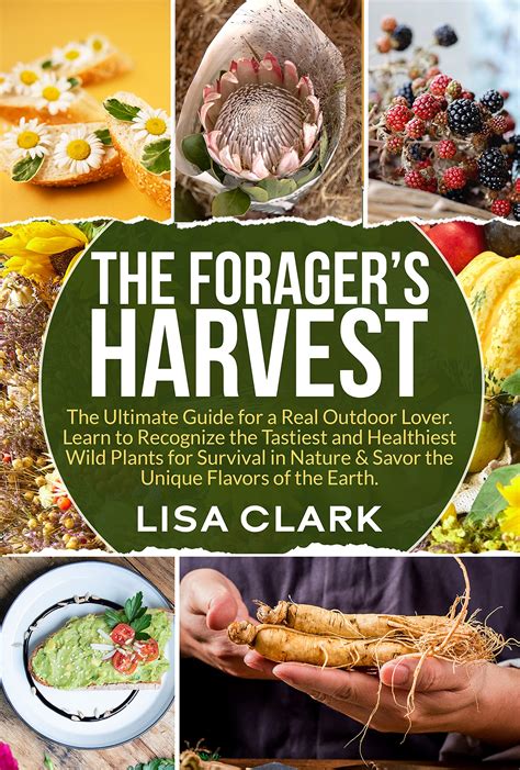 The Forager S Harvest The Ultimate Guide For A Real Outdoor Lover